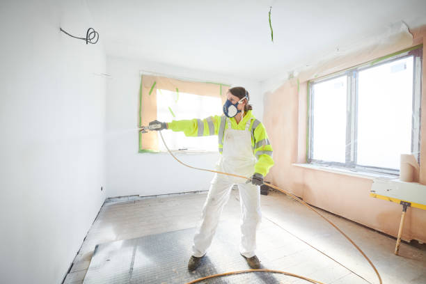 Best Water Damage & Mold Remediation  in Sonterra, TX