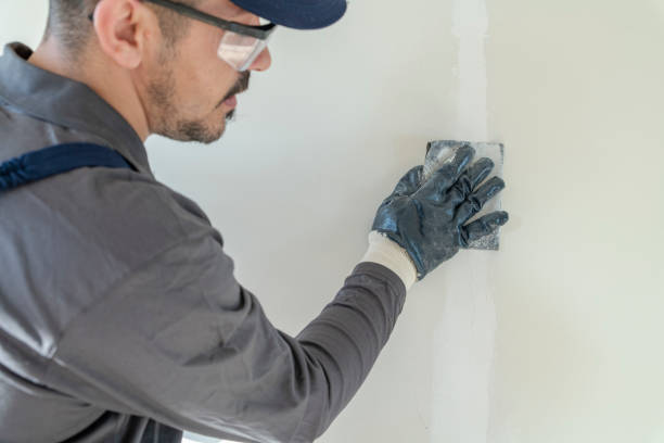 Reliable Sonterra, TX Mold Removal Solutions