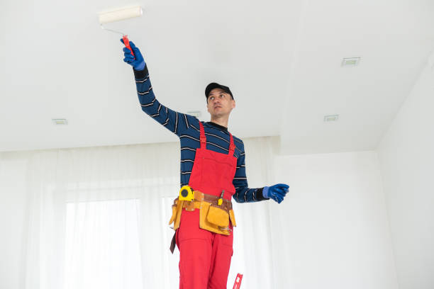 Dehumidification Services in Sonterra, TX