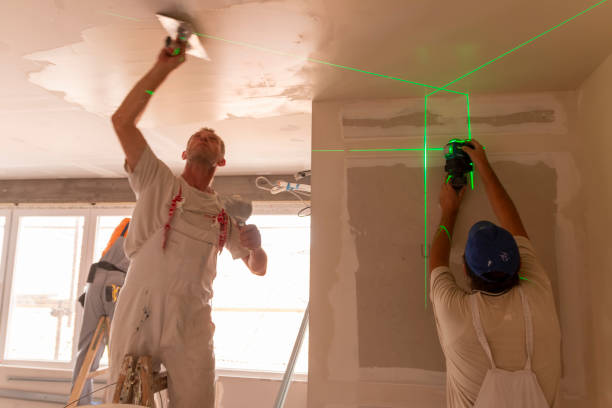 Best Basement Mold Removal  in Sonterra, TX